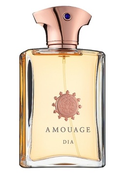 Amouage Dia Men парфумована вода, 100 мл