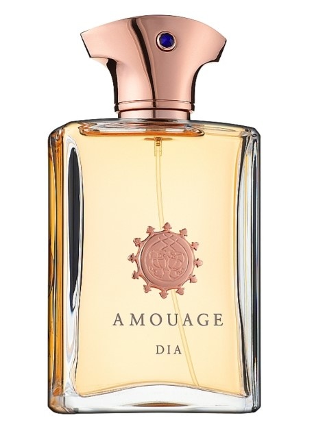 Amouage Dia Men парфумована вода, 100 мл